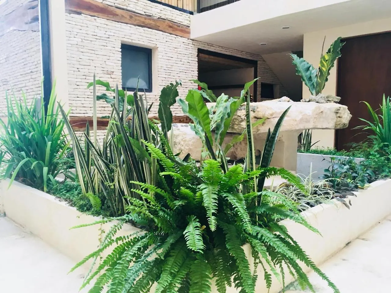 Apartment Downtown & Cozy Studios Polo 15 Playa del Carmen