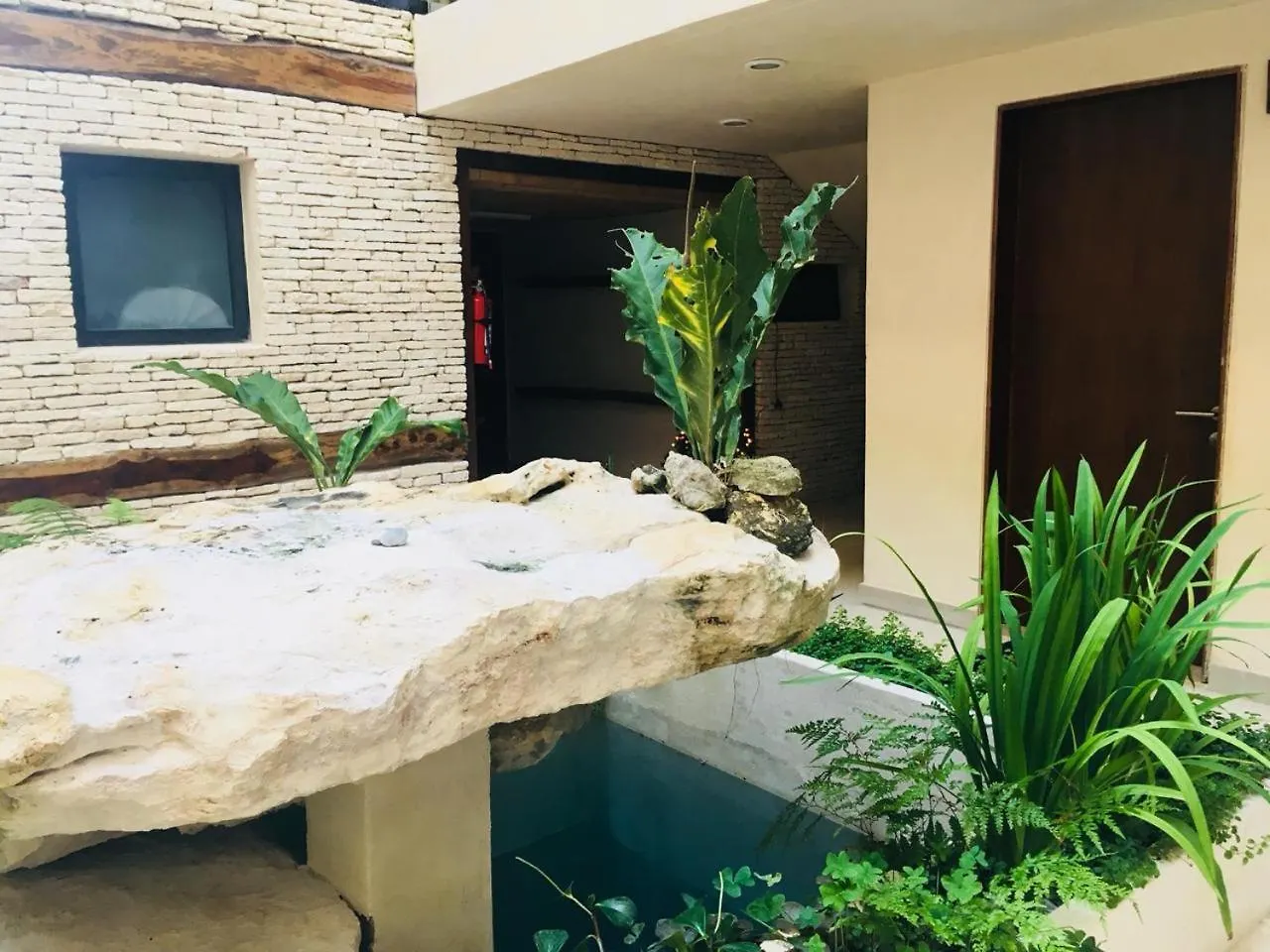 Downtown & Cozy Studios Polo 15 Playa del Carmen Apartment